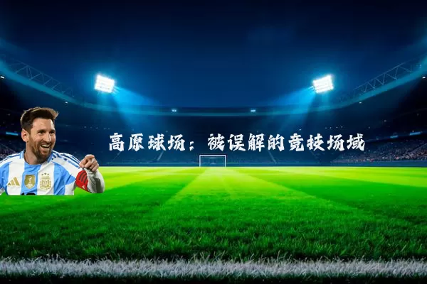 高原球场:被误解的竞技场域