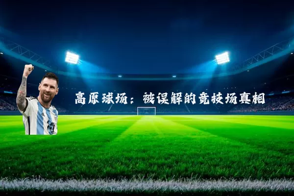 高原球场:被误解的竞技场真相